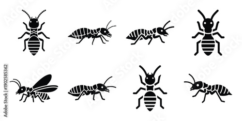 Set of silhouette termite in various poses isolated on background. Animal Vector elements for design.
