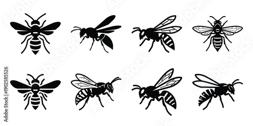 Set of silhouette wasp in various poses isolated on background. Animal Vector elements for design.