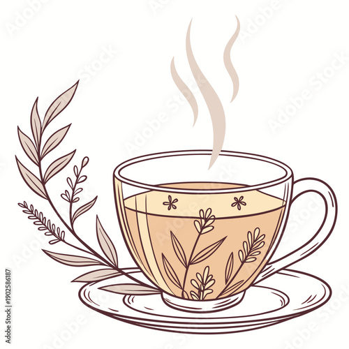 Herbal tea in glass cup with saucer and leaves steaming hot
