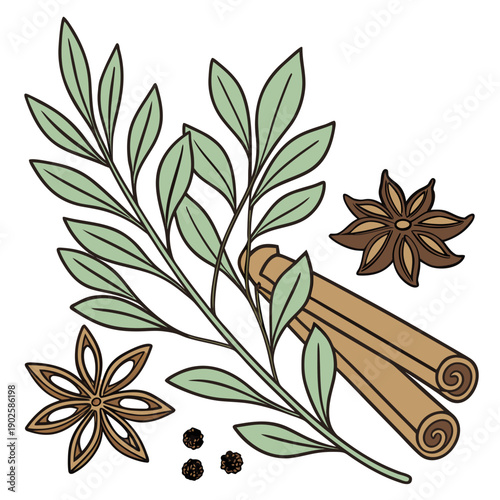 Herbal tea ingredients with cinnamon sticks star anise and leaves