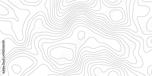 Grey and white abstract topographic background with refined terrain line texture