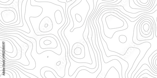 Minimal grey white geographic contour illustration with elegant elevation flow