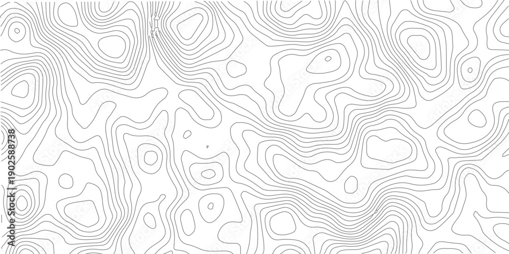 Obraz premium Subtle grey and white topographic map texture featuring flowing geographic curves