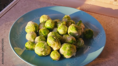 Frozen Brussels sprouts with visible frost texture. Healthy plant-based ingredient for balanced diet, vegetarian and vegan meals, and clean eating concepts.
