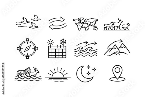 Animal Migration. Line icon set of Animal Migration: flying birds, migration arrows, world map path, herd movement, compass direction,