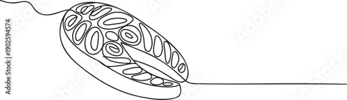 a-minimalist-continuous-line-drawing-of-_JFJ97fqcQ4u97sa9jjQTtw_kgLUC3O8SQmRSn_9M4BuaA_traced