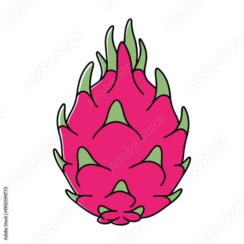 Minimalist dragon fruit pitahaya vector icon isolated