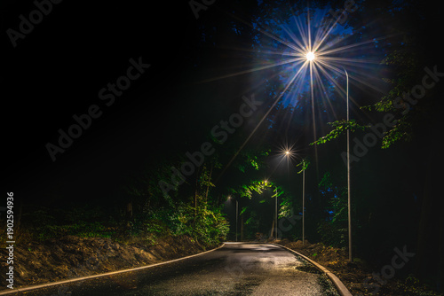 Night Road Through Forest Illuminated by Street Lights