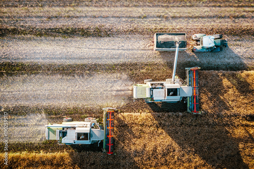 Top View of Combine Harvesters Unloading Grain Into Trailer During Wheat Harvest