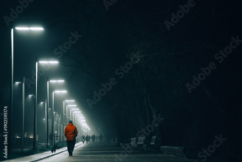 Person Walking Along Foggy Park Path Illuminated by Street Lights at Night