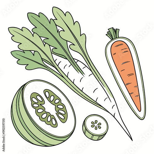 Carrot and turnip vegetables with leaves and slices