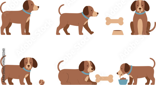 Adorable black and white tuxedo cat vector set featuring cute kittens in various relaxed sleeping and curling poses.