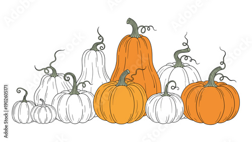 Diverse group of fall pumpkins in various shapes, sizes, and colors arranged together for a classic autumn harvest themed scene.