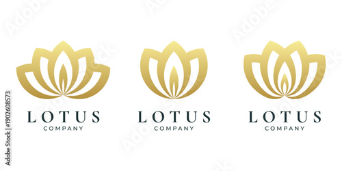 Luxury golden lotus flower icon