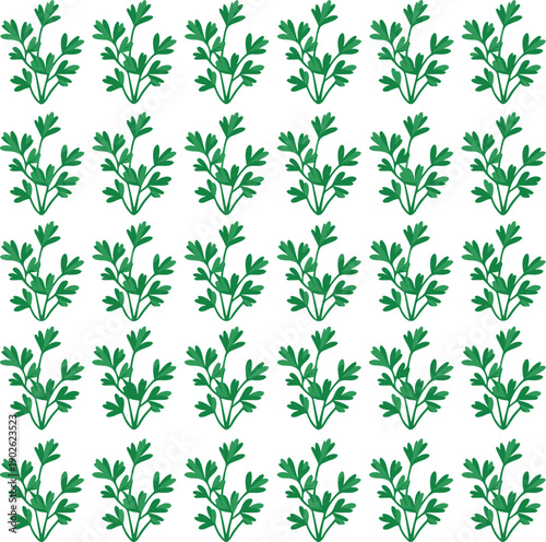 Parsley plants arranged neatly in rows showing lush greenery natural landscape vector on white background.