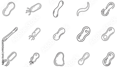 Set of various bacteria and microorganisms in a line icon style, isolated on white background