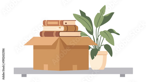 Cardboard box with books and potted plant on shelf against white background