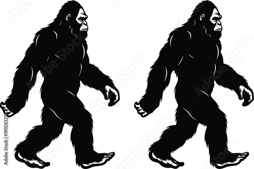 Vintage hand drawn vector illustration of Bigfoot Sasquatch walking through the wilderness for myth legend cryptid and mystery themed graphic design projects (23 words)