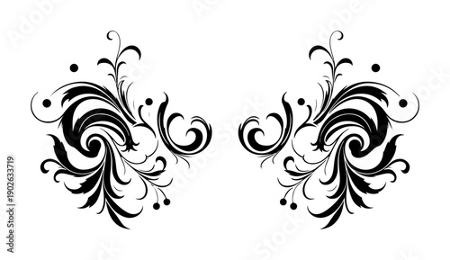 Elegant vintage classic flourish frame