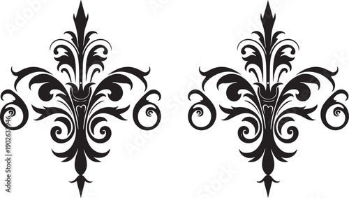 Elegant vintage classic flourish frame