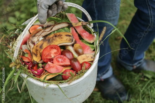 Wallpaper Mural Farmer with food organic waste, scrap of vegetables and fruits with grass in bucket for compost close up. Zero waste, composting, bio waste, separate waste collection concept Torontodigital.ca