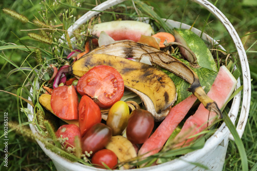 Wallpaper Mural Food organic waste, scrap of vegetables and fruits with grass in bucket for compost close up macro. Zero waste, composting, bio waste, separate waste collection concept Torontodigital.ca