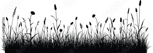 Black silhouette of grass and wildflowers on transparent  background for design and decoration purposes easily