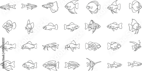 Variety of fish swimming in different directions