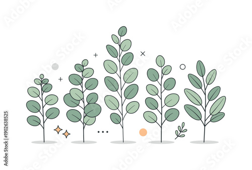 Serene Eucalyptus Design. Neutral eucalyptus branch collection. A tidy group of stems with varying heights and leaf patterns, all in soft muted greens and