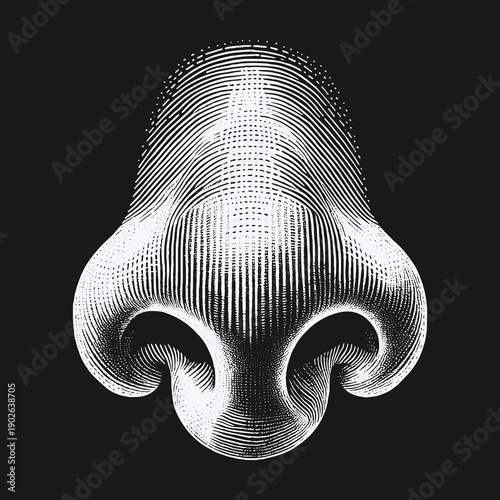 Detailed Engraving of a Canine Nose on Black Background.