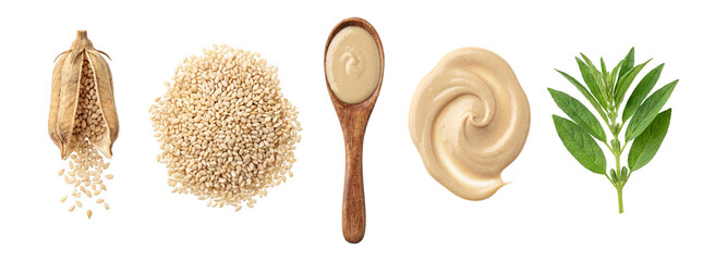 Photoreal sesame and tahini ingredients elements Set.