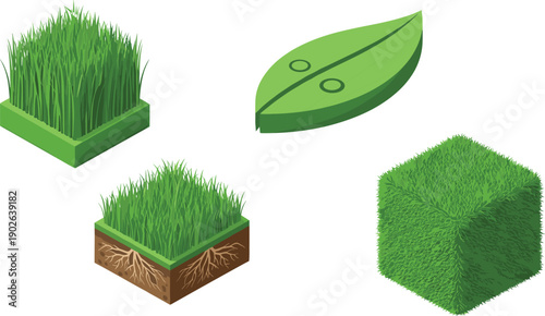 Grass icons, plant growth, root system, foliage symbol, green cube, environmental graphics, landscaping design, botany illustration