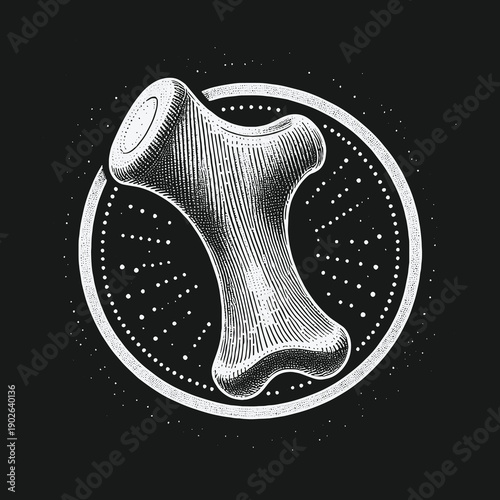 Engraved Bone Illustration with Circular Dot Pattern Background.
