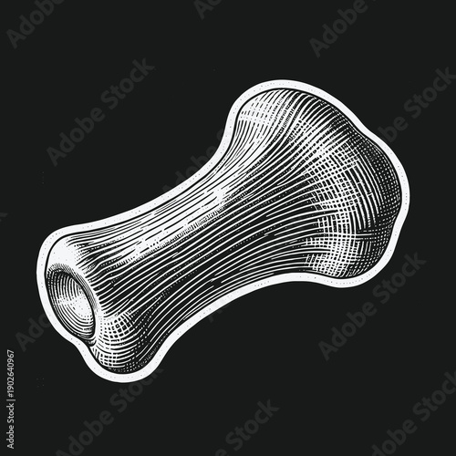 Detailed Engraving of a Bone Structure on Dark Background.