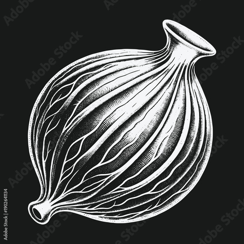 Stylized Anatomical Illustration of a Human Nervous System.