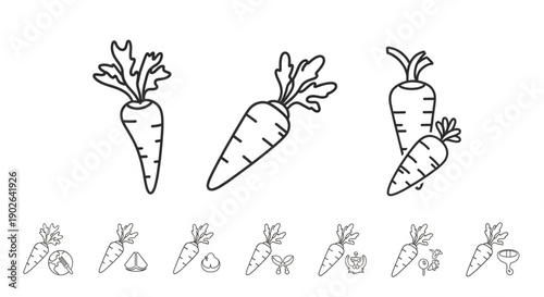 hand drawn carrots