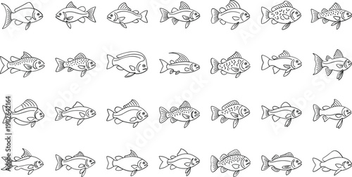 Diverse school of fish illustrations in various styles