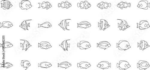 Variety of fish swimming in different directions