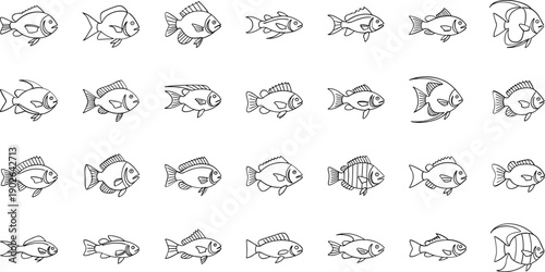 Variety of fish swimming in different directions
