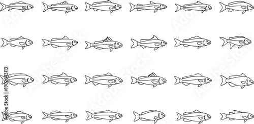 Variety of fish swimming in different directions