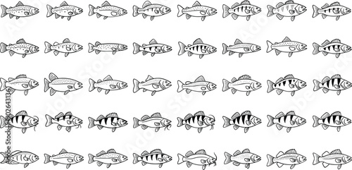 Variety of fish swimming in different directions