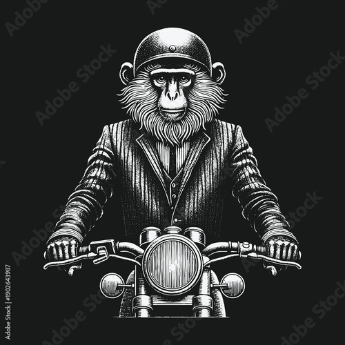 Monkey Biker: A Detailed Engraving of a Chimpanzee on a Motorcycle.