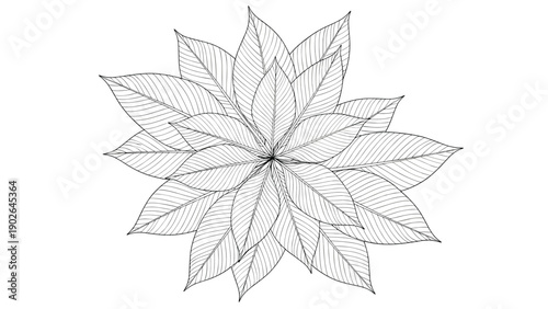 Intricate top down line art drawing of layered tropical leaves arranged in a circular star pattern showcasing fine veins and natural textures.