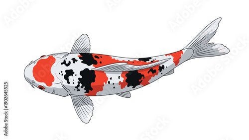 Realistic illustration of a colorful koi fish with vibrant red, white, and black patterns swimming viewed from a top down perspective.