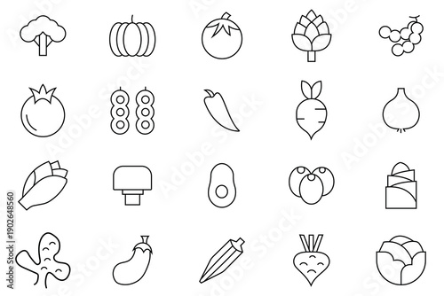 Vegetable icons set. Out line icon of   the simple vector icons as tomato, cucumber, kohlrabi, cauliflower, pattypan squash, fiddleheads. Vector illustration.