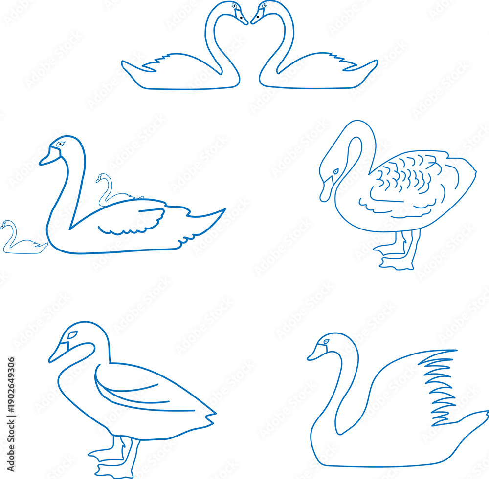 Fototapeta premium Cartoon drawings of birds, swans on a lake with elegant feathers and beaks