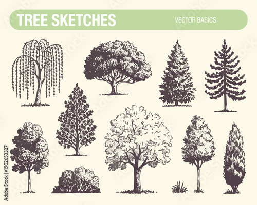 Collection of tree sketches in various styles, willow oak pine fir cedar and bush, nature elements for landscape design