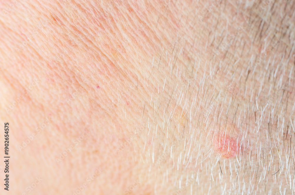 Fototapeta premium Extreme close-up macro shot of aged human skin texture with fine wrinkles and white hairs