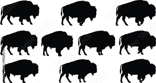 Bison silhouette vector set showing multiple walking poses, black buffalo wildlife illustration for prairie animal logo, western design, nature graphics collection
