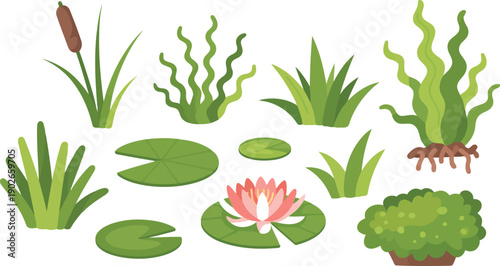 Various green aquatic flora and plants including a pink water lily with lily pads